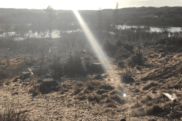 Udsigt_blogtop