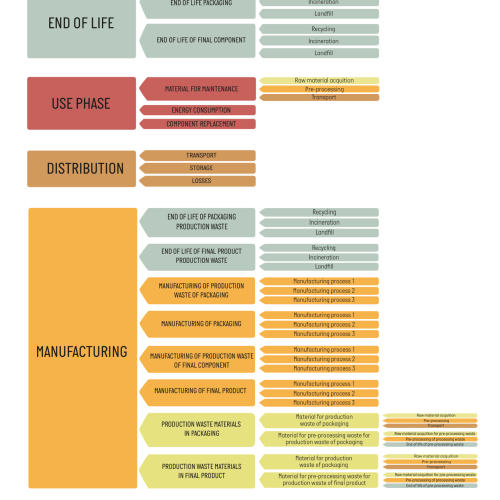 Life cycle stages